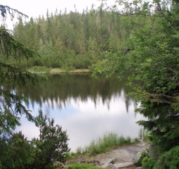 TJ Dolní Lomná-Tatry 2014