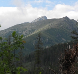TJ Dolní Lomná-Tatry 2014