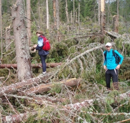 TJ Dolní Lomná-Tatry 2014