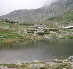 TJ Dolní Lomná-Tatry 2014