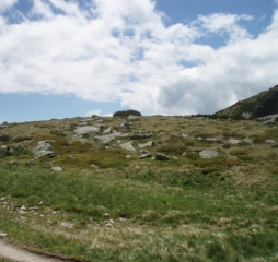 TJ Dolní Lomná-Tatry 2014