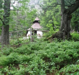 TJ Dolní Lomná-Tatry 2014