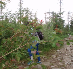 TJ Dolní Lomná-Tatry 2014