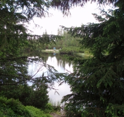TJ Dolní Lomná-Tatry 2014