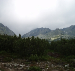 TJ Dolní Lomná-Tatry 2014