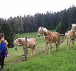 TJDL-výšlap na Skalku