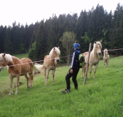TJDL-výšlap na Skalku