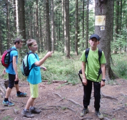 TJDL-běžecké lyžování