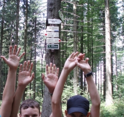 TJDL-běžecké lyžování