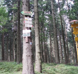 TJDL-běžecké lyžování